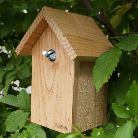 Petite cabane oiseau bois