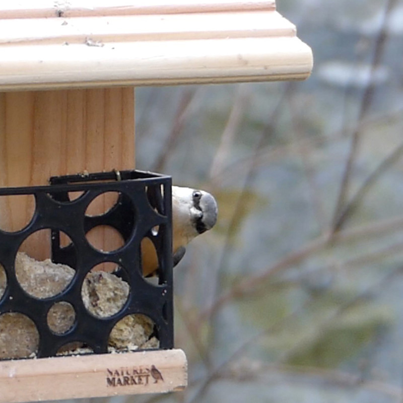 Mangeoire Bar à Graisse pour 2 repas de graisse végétale sans huile de palme Natures Market -Oisillon.net-