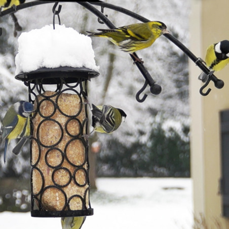 50 boules de graisse pour oiseaux avec tube distributeur