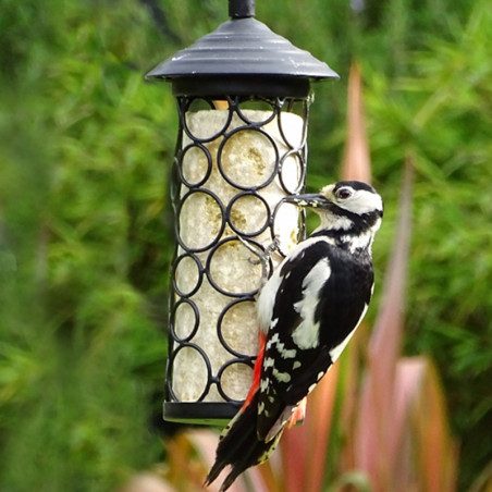 4 PièCes Mangeoires à Boules de Graisse Suspendues Mangeoire à Oiseaux  Support à Oiseaux en Boule de Graisse en MéTal avec