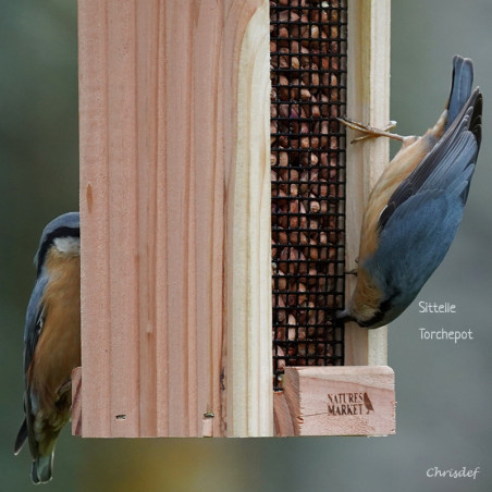 Mangeoire pour oiseaux au comptoir pour cacahuètes Natures Market - Oisillon.net - Fabriquée en France-photo chrisdef Mangeoire pour oiseaux au comptoir pour cacahuètes Natures Market - Oisillon.net - Fabriquée en France-photo chrisdef