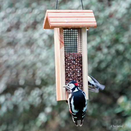 Mangeoire pour oiseaux au comptoir pour cacahuètes Natures Market - Oisillon.net - Fabriquée en France-photo chrisdef Mangeoire pour oiseaux au comptoir pour cacahuètes Natures Market - Oisillon.net - Fabriquée en France-photo chrisdef