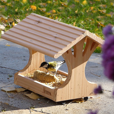 Mangeoire plateforme pour graines et autres nourriture pour oiseaux. France