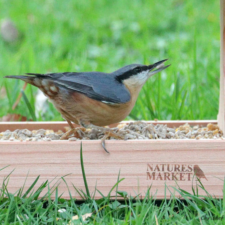 Mangeoire Plateforme POUR OISEAUX : plateau pour Graisse et graines, à poser ou à suspendre Natures Market -Oisillon.net-