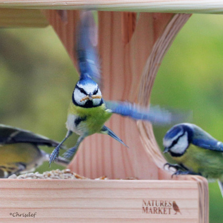 Mangeoire Plateforme POUR OISEAUX : plateau pour Graisse et graines, à poser ou à suspendre Natures Market -Oisillon.net-