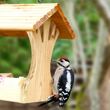 Mangeoire plateforme pour graines et autres nourriture pour oiseaux. France