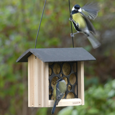 Nourrir les oiseaux : bonne ou mauvaise idée - France Bleu