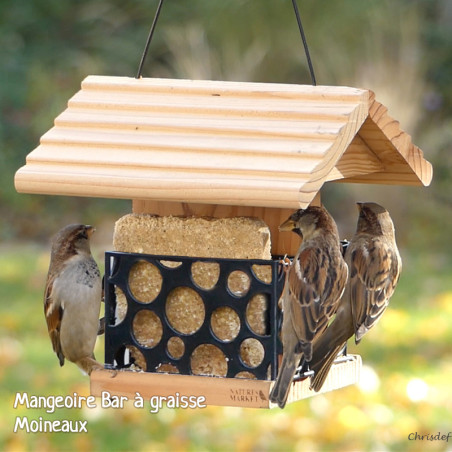 Repas de graisse végétale sans huile de palme pour oiseaux Natures Market