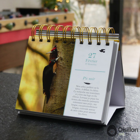 Almaniak oiseaux 2023 calendrier natures market cadeau noel oisillon.net Almaniak oiseaux 2023 calendrier natures market cadeau noel oisillon.net