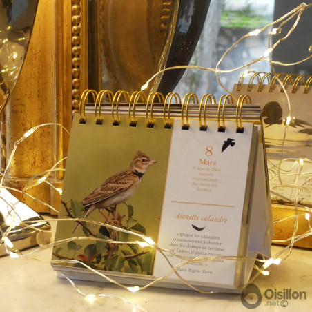 Almaniak oiseaux 2023 calendrier natures market cadeau noel oisillon.net Almaniak oiseaux 2023 calendrier natures market cadeau noel oisillon.net