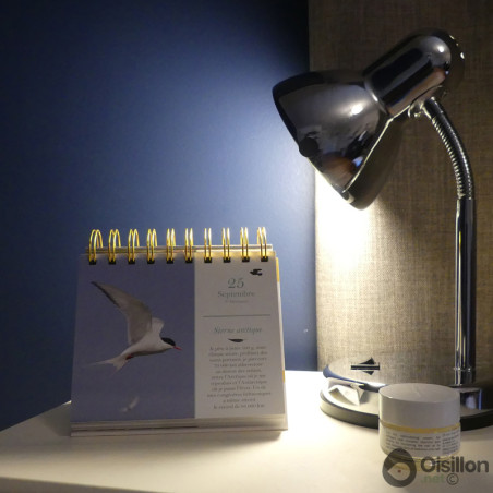 Almaniak oiseaux 2023 calendrier natures market cadeau noel oisillon.net Almaniak oiseaux 2023 calendrier natures market cadeau noel oisillon.net