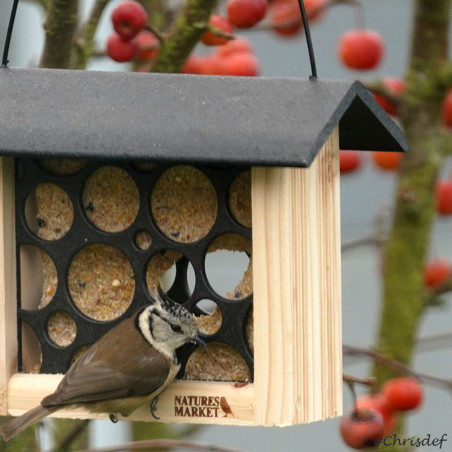 Bird Feeder La Mangeoire à Oiseaux Géniale – Le Jardinier de