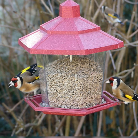 Fabriquer des abreuvoirs pour oiseaux avec des objets de récupération 