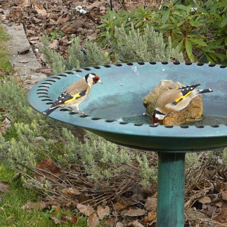 Abreuvoir sur pied pour oiseaux du jardin