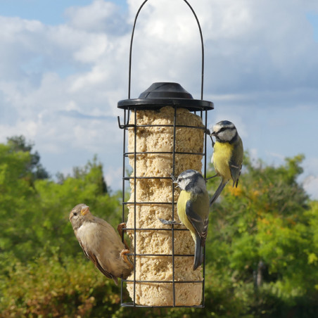 Mangeoire Tube pour cylindres et boules de graisse pour oiseaux