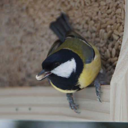 Mangeoire Graineterie pour graines pour oiseaux Natures Market -Oisillon.net- fabriquée en France