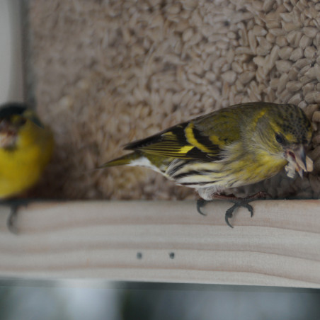 Mangeoire Graineterie pour graines pour oiseaux Natures Market -Oisillon.net- fabriquée en France