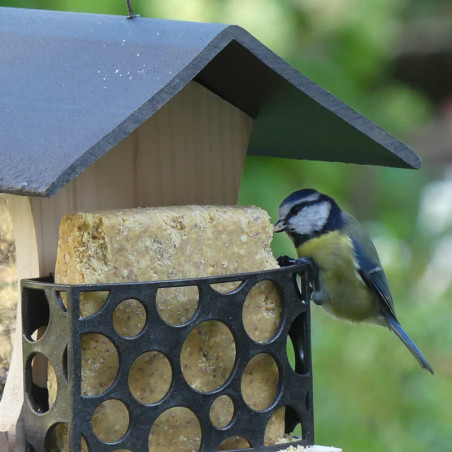 Mangeoire Gourmet pour oiseaux graines et graisses Natures Market -Oisillon.net- fabriquée en France matériau recyclé recyclable