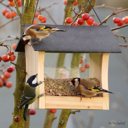 Mangeoire en liège pour petits oiseaux - OOGarden