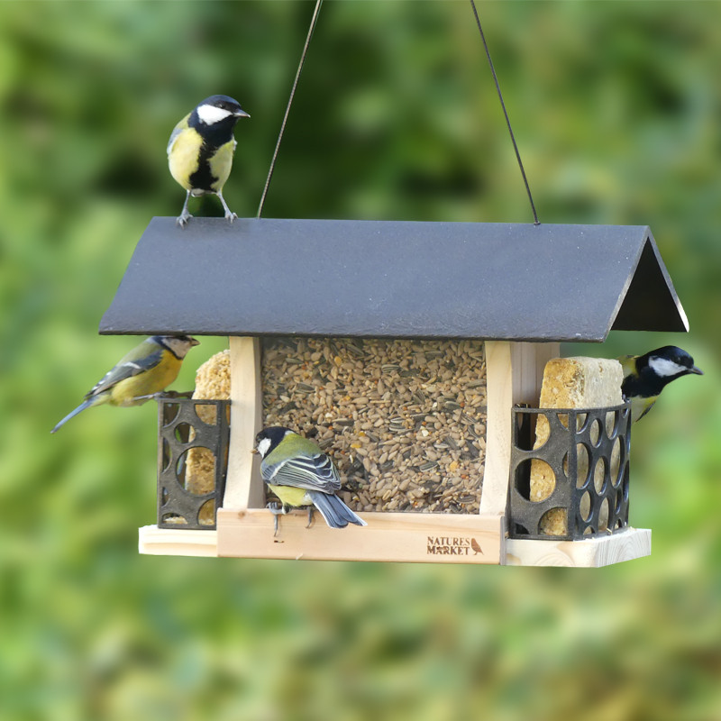 Mangeoire d'extérieur pour oiseaux jok 1, abri pour oiseaux sauvages,  adaptée pour nourriture graines petites noisettes
