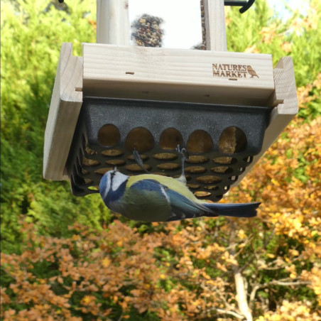 Mangeoire Oiseaux Exterieur 35cm - Distributeur Cacahuètes Oiseaux