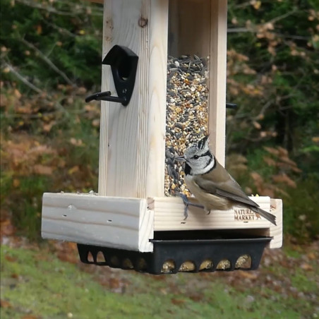 Mangeoire pour oiseaux du ciel extérieur design sur pied - PRÊT A