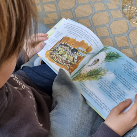 Livre : une fabuleuse petite mésange Nature Market Nichoirs pour mésanges