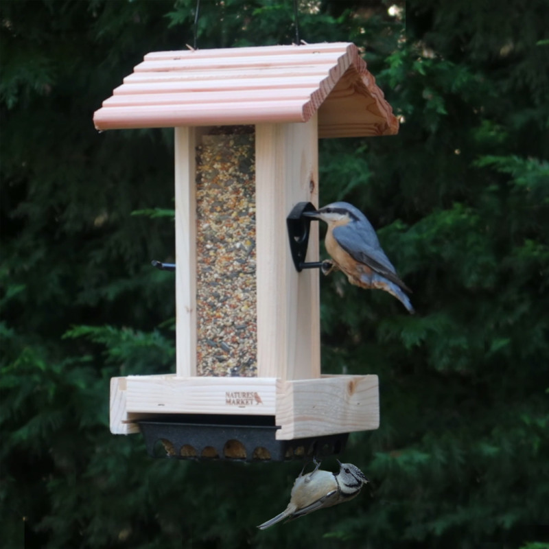 Mangeoire pour passereaux, et autres oiseaux du jardin