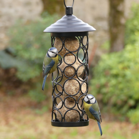 Nichoir pour Martinet noir 50 cm - Cages et Accessoires oiseaux