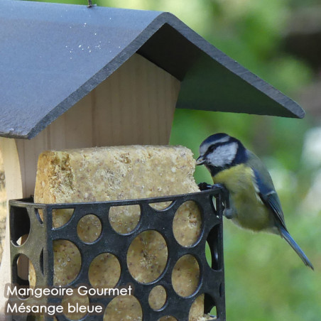 KIT SAVEURS : 6 repas  6 saveurs Nature Market Graisses pour oiseaux