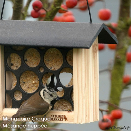 Repas de graisse végétale sans huile de palme pour oiseaux Natures Market