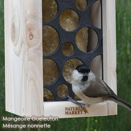 Cylindre de graisse végétale sans huile de palme  pour oiseaux Natures Market -Oisillon.net-