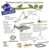 Mangeoire Antique pour oiseaux, pour graisses et graines Natures Market -Oisillon.net-