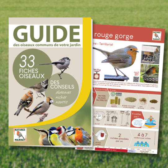 guide oiseaux 2023-natures market oisillon reconnaitre oiseaux conseils Natures market guide oiseaux 2023-natures market oisillon reconnaitre oiseaux conseils Natures market