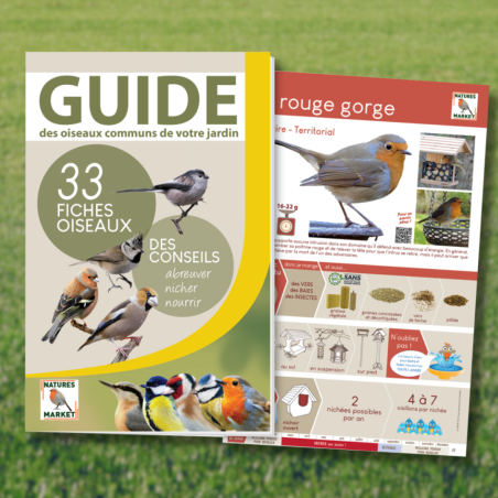 guide oiseaux 2023-natures market oisillon reconnaitre oiseaux conseils Natures market