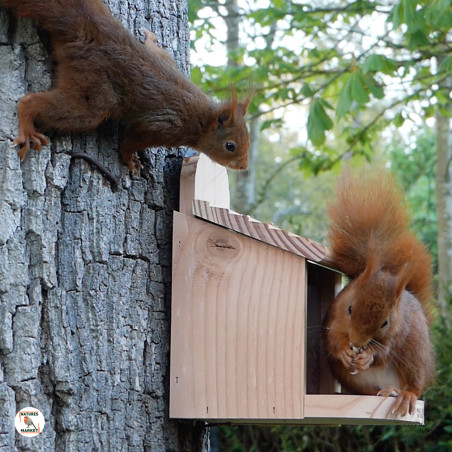 Mangeoire Ecureuil pour écureuils et/oiseaux Natures Market -Oisillon.net- fabriquée en France