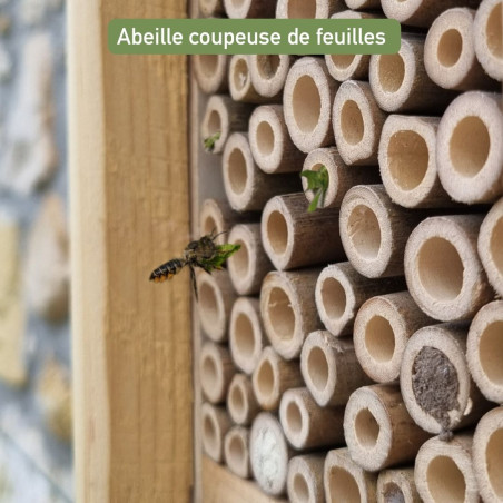 hotel pour abeilles solitaires Maya Natures Market fabriqué en France hotel à insectes. Oisillon.net
