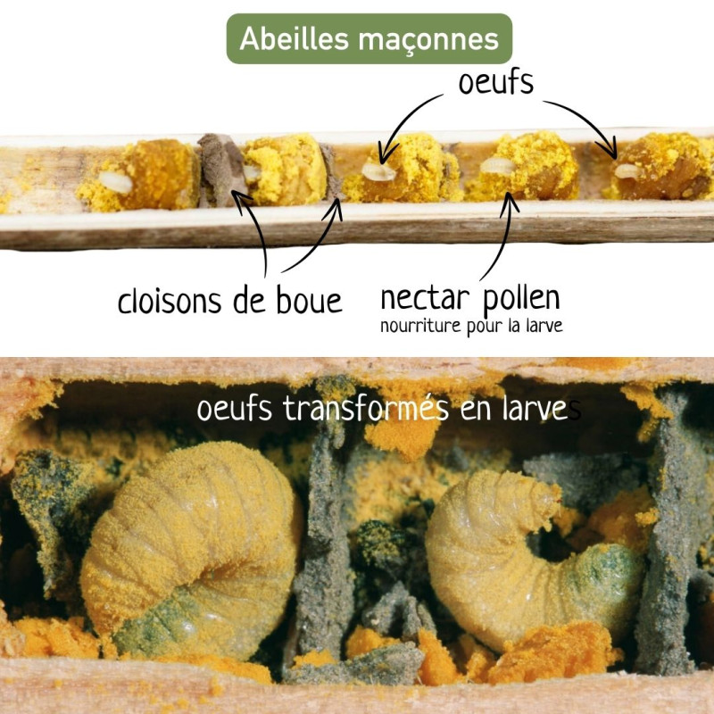 hotel pour abeilles solitaires Maya Natures Market fabriqué en France hotel à insectes. Oisillon.net