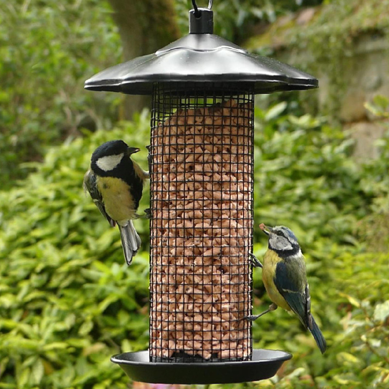Pépites nuggets pour oiseaux graisse végétale sans huile de palme aux insectes et aux fruits Natures Market Oisillon.net