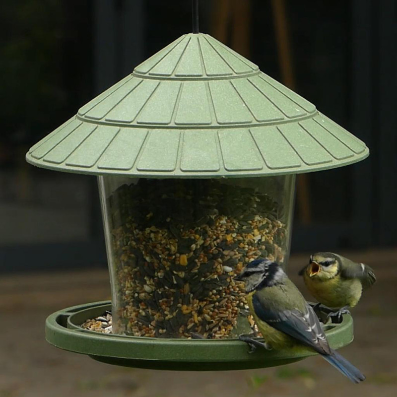 Mélange de graines Supérieur pour oiseaux Natures Market -Oisillon.net-