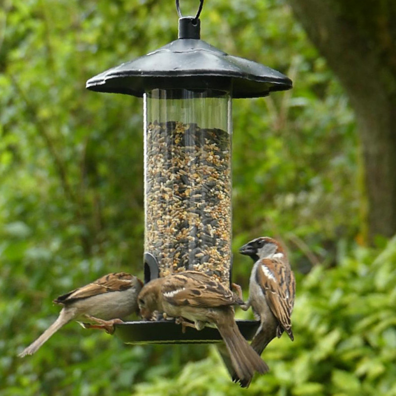 Mélange de graines Supérieur pour oiseaux Natures Market -Oisillon.net-