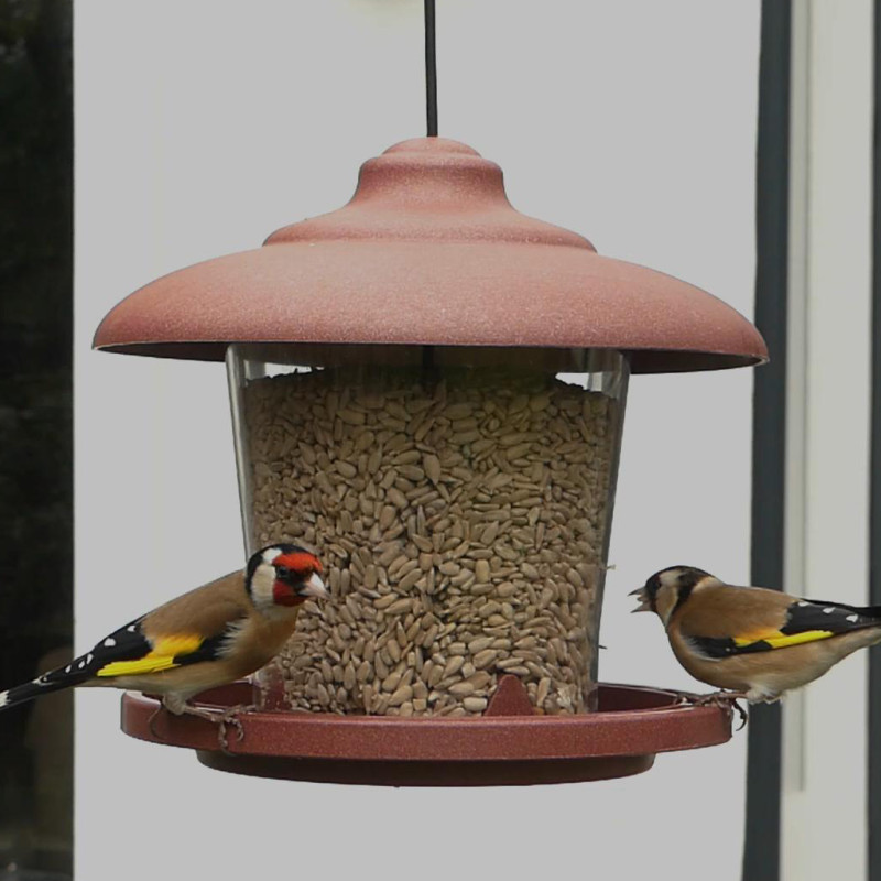 Julie mangeoire pour graines écoresponsable en plastique 10% recyclé fabriquée en France par Natures Market. Oisillon.net