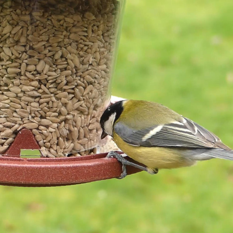 Julie mangeoire pour graines écoresponsable en plastique 10% recyclé fabriquée en France par Natures Market. Oisillon.net