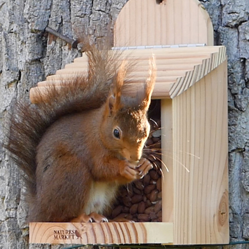 Cacahuètes décortiquées pour oiseaux du ciel Natures Market -Oisillon.net-