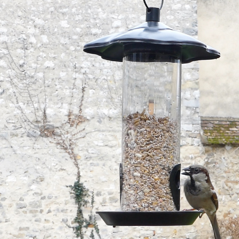 mélange graines supreme Natures Market-oisillon-net-nourriture-oiseaux-rouge-gorge-insectes