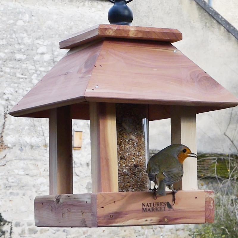 mélange graines supreme Natures Market-oisillon-net-nourriture-oiseaux-rouge-gorge-insectes
