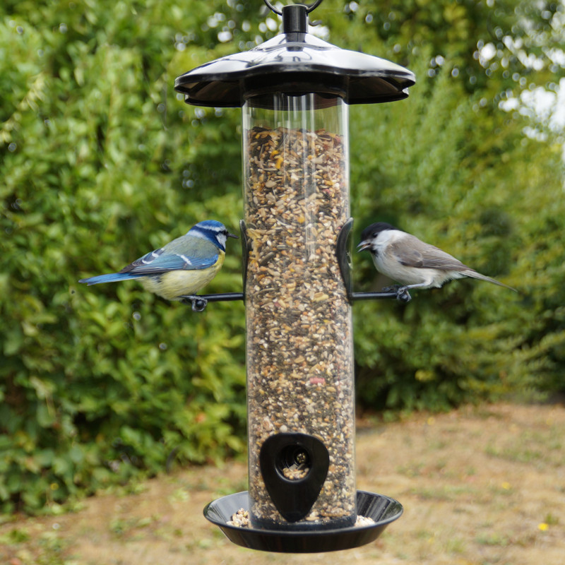 Mélange de graines Supérieur pour oiseaux Natures Market -Oisillon.net-