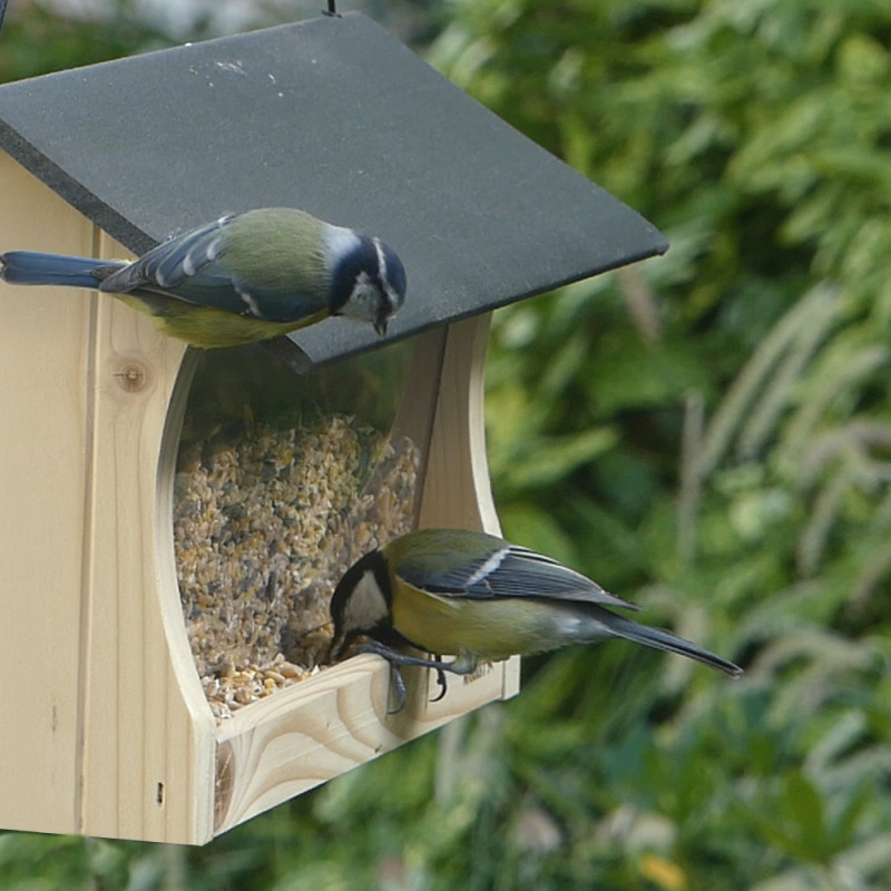 Mélange de graines Supérieur pour oiseaux Natures Market -Oisillon.net-