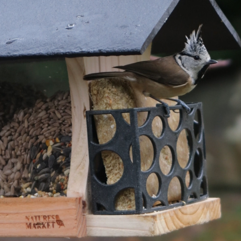 Repas de graisse végétale sans huile de palme pour oiseaux Natures Market fabriqué en France recyclé