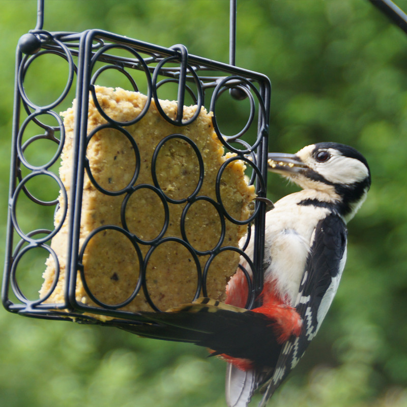 Repas de graisse végétale sans huile de palme pour oiseaux Natures Market fabriqué en France recyclé